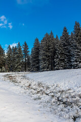 Winterspaziergang im Winterwunderland Thüringer Wald bei Steinbach-Hallenberg - Deutschland
