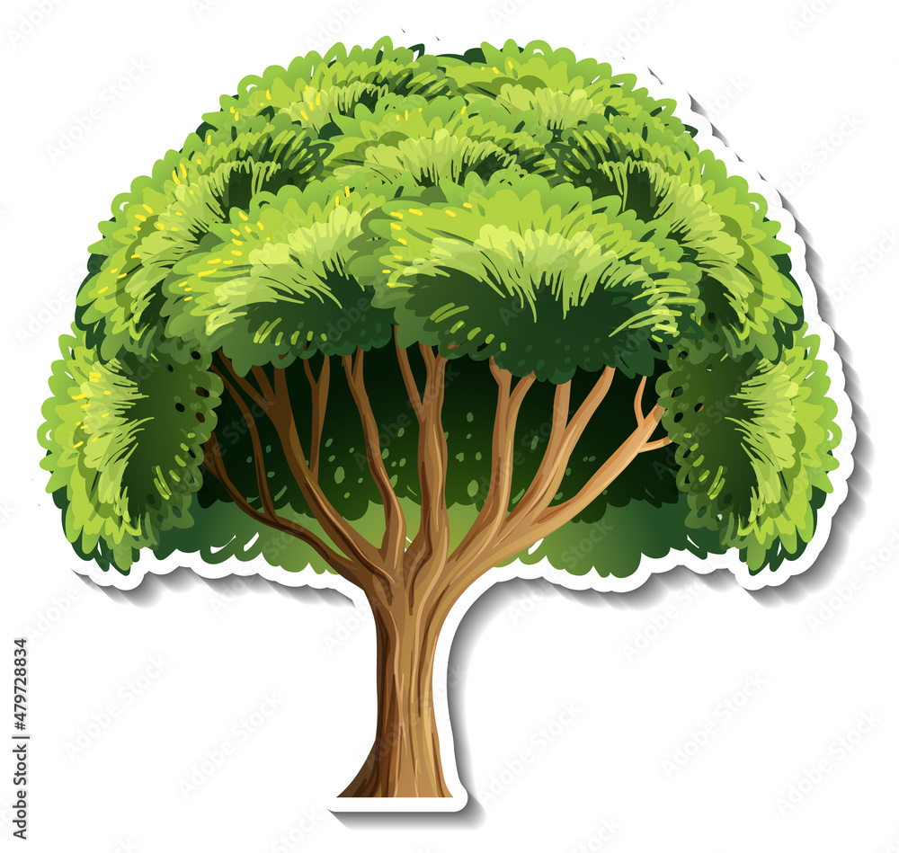 Wall mural Tree sticker on white background