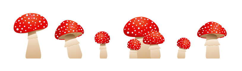 Big collection mushrooms fly agaric. Inedible mushrooms. Vector illustration