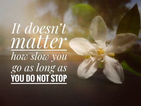 Sun rays on white flowers in a field with a motivational and inspirational quote