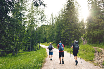 Small group of hikers in a forest in the Dolomite Alps