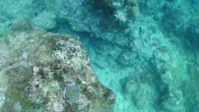 Swiming into a cave in the British Virgin Islands. Beautiful tropical fish below and cave above in the bubble lens view