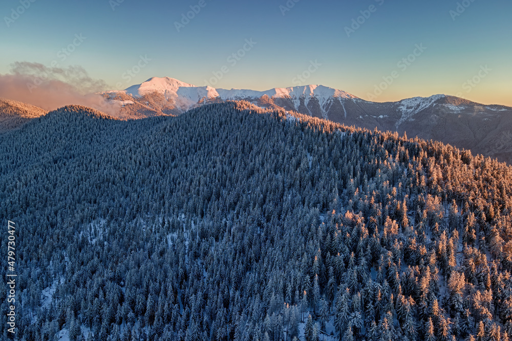 Canvas Prints winter mountain range in the morning