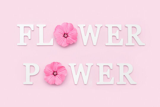Flower power. Slogan from white letters and beauty natural flowers on pink background. Creative concept. Top view, Flat lay
