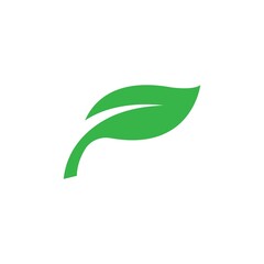 leaf branch design icon vectors illustration