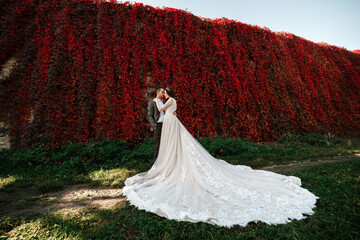 The bride in a white dress with a long train hugs the groom near the wall of red leaves