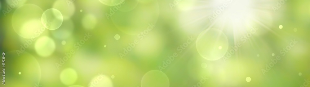Wall mural spring background - abstract banner - green blurred bokeh lights -