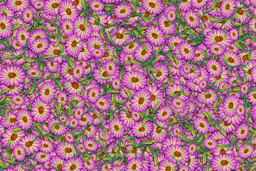 Floral background illustration of a mass of colorful pink and yellow daisy flowers 
