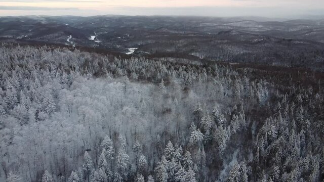 Laurentides, Qu&eacute;bec- Snowy Forest in the Laurentians Aerial