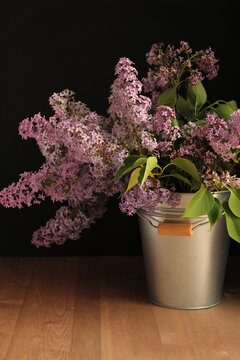 Lilac. Still life with lilacs in a metal bucket. Low key.
