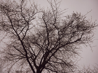 Cloudy day in germany.