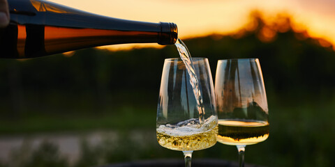 Pouring white wine into glasses in the vineyard at sunset - obrazy, fototapety, plakaty