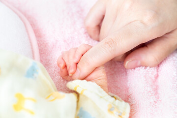Obraz na płótnie Canvas お母さんの手をギュっと握る新生児の写真。赤ちゃん・子育てのイメージ。