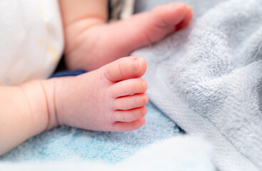 Obraz na płótnie Canvas 小さくてかわいい新生児の足の写真。赤ちゃん・子育てのイメージ。