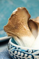Big oyster mushroom Pleurotus eryngii in white blue bowl against blue background.
