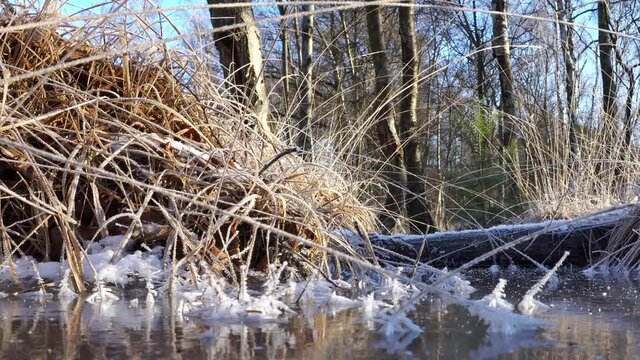 Winterlandschaft mit Eiskristalle am Gras im Winter bei Frost