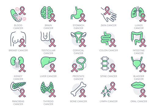 Cancer types line icons. Vector illustration include icon - breast, stomach, respiratory, pancreas, kidney, testicles, uterine outline pictogram for oncology. Red and Green color, Editable Stroke