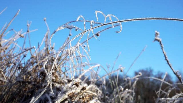 Winterlandschaft mit Eiskristalle am Gras im Winter bei Frost