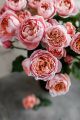 A beautiful bouquet of pink-cream peony roses in a dark vase on a light table. Spray rose Juliet....