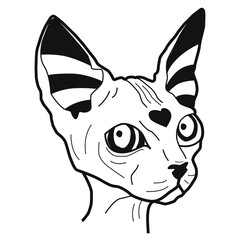 Lovely 2D-Sphinx, vector illustration