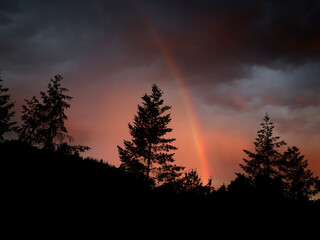 Rainbow Sunset Behind trees