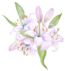 Bouquet white lilies, pink lilies, flowers and buds watercolor flower arrangement