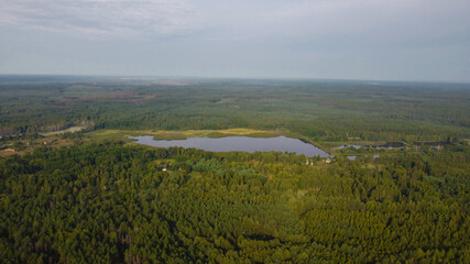 Aerial view of a lake and green forest. There are houses near the lake shore. Ukraine