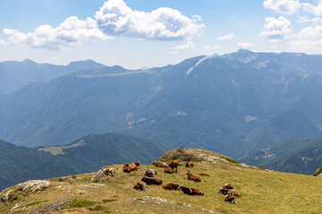 Fototapeta na wymiar Nature of Hajla peak and Rugova mountains in Kosovo