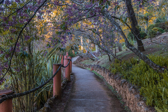 Jardim em Santo Ant&ocirc;nio do Pinhal, S&atilde;o Paulo