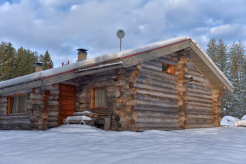 log cabin in a pine forest in winter