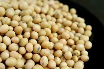 Closeup pile of dried soybeans on black background