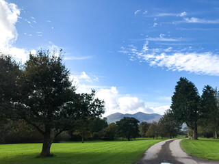 green landscape and the bench in the first national park in Ireland - Killarney National Park , near the town of Killarney, County Kerry