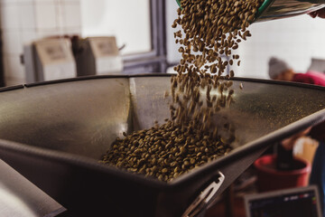 Entrepreneur pouring raw coffee beans into a modern roasting machine
