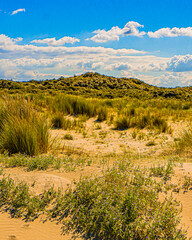 sand dunes in the desert