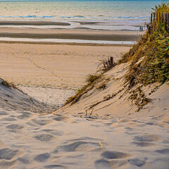 sand dunes in the morning