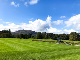 Fototapeta premium green grass landscape in the first national park in Ireland - Killarney National Park , near the town of Killarney, County Kerry