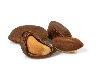 brazilian nut with shelles isolated on white background
