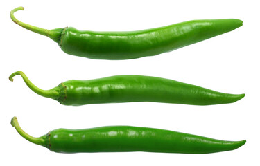 Green Chilli isolated on white background