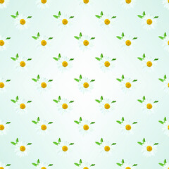 Daisy. Chamomile flowers with leaves, vector floral texture.