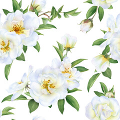 Obraz premium Seamless floral pattern with bouquets of the wild white roses, buds and green leaves hand drawn in watercolor isolated on a white background. Watercolor floral pattern. 