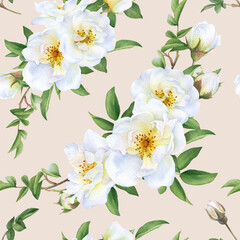 Seamless floral pattern with bouquets of the wild white roses, buds and green leaves hand drawn in watercolor isolated on a light beige background. Watercolor floral pattern.	
