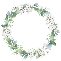 Floral wreath with white flowers, herbs and leaves hand drawn in watercolor isolated on a white background. Watercolor floral frame. Watercolor illustration. 