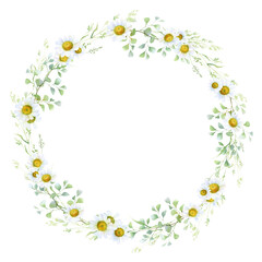 Obraz na płótnie Canvas Floral wreath with chamomile, green leaves and herbs hand drawn in watercolor isolated on a white background. Watercolor floral frame. Watercolor illustration. 