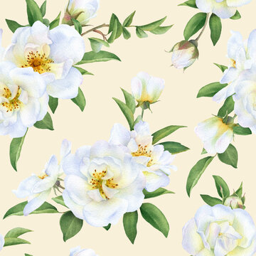 Seamless floral pattern with bouquets of the wild white roses, buds and green leaves hand drawn in watercolor isolated on a light yellow background. Watercolor floral pattern.	
