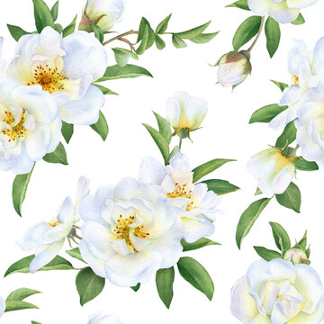 Seamless floral pattern with bouquets of the wild white roses, buds and green leaves hand drawn in watercolor isolated on a white background. Watercolor floral pattern.	
