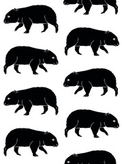 Vector seamless pattern of hand drawn doodle sketch black wombat isolated on white background