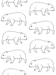 Vector seamless pattern of hand drawn doodle sketch wombat isolated on white background