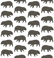 Vector seamless pattern of hand drawn doodle sketch colored wombat isolated on white background