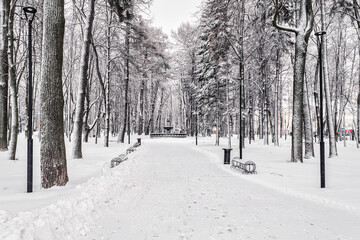 Winter park with trees, cameoes and pavement covered with snow after a snowfall.