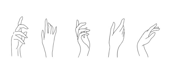 A set of gestures of female palms. Thin hand lines on a white background.